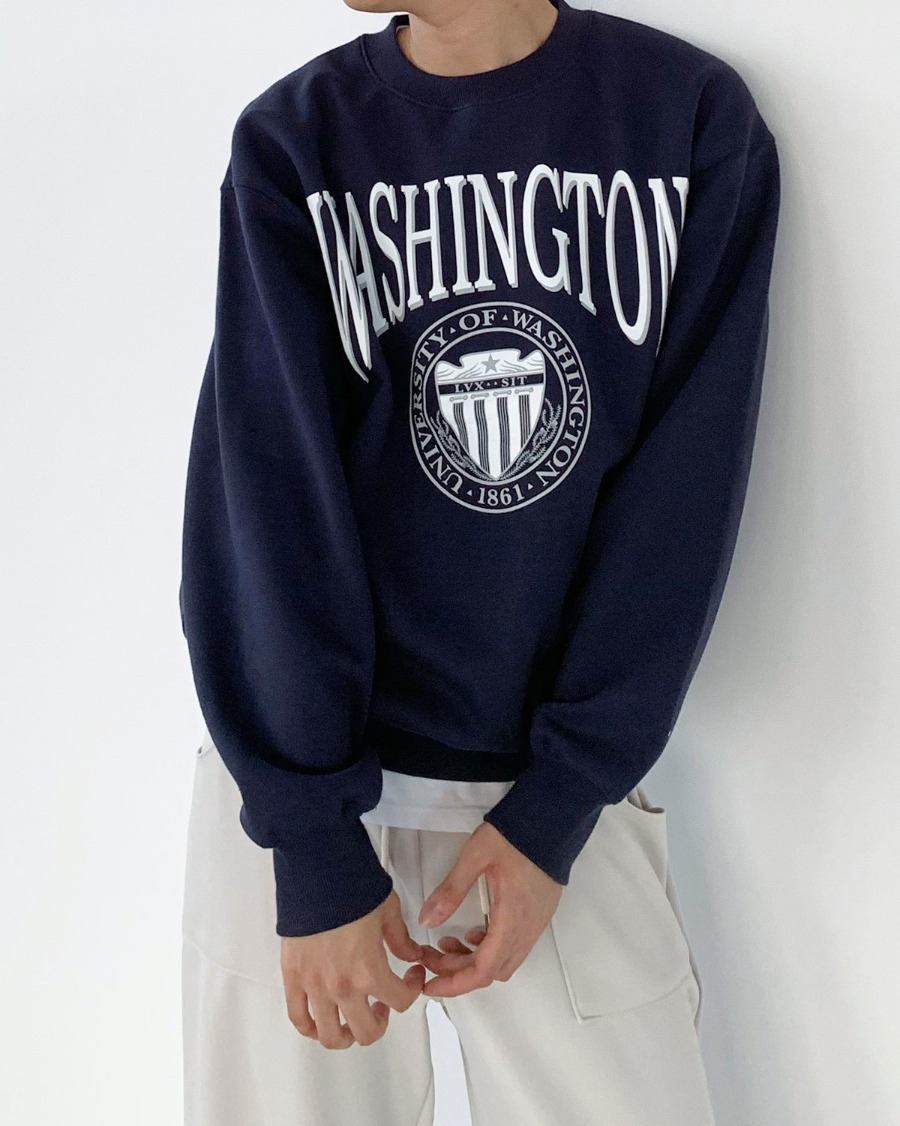 washington sweatshirts (3color)